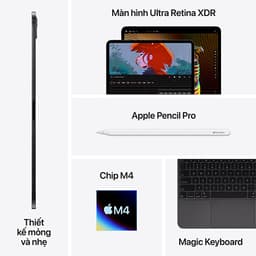 IPad Pro M4 11inch 256G 99% - 2